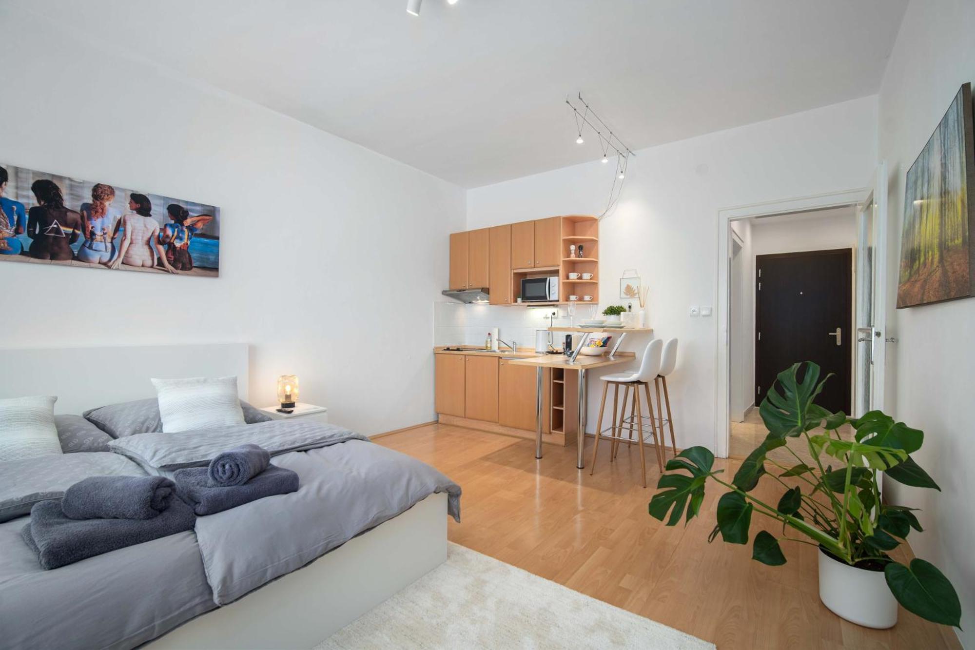 ברטיסלאבה Best Location Apartment Air-Conditioned מראה חיצוני תמונה